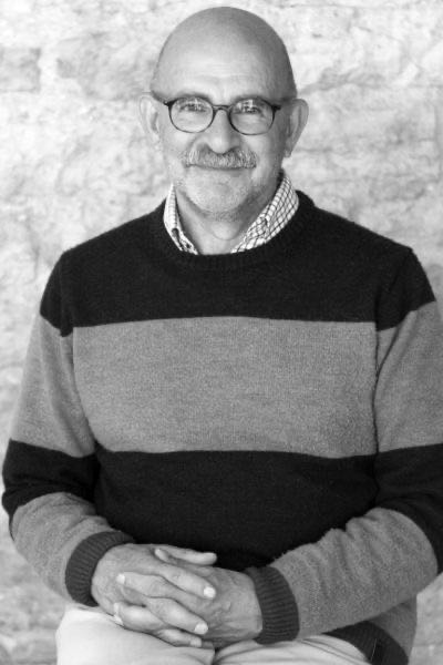 david vseviov prof estland