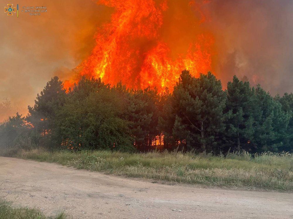 Forest in Mykolaiv Oblast after Russian shelling 2022 08 09 Wikicommons