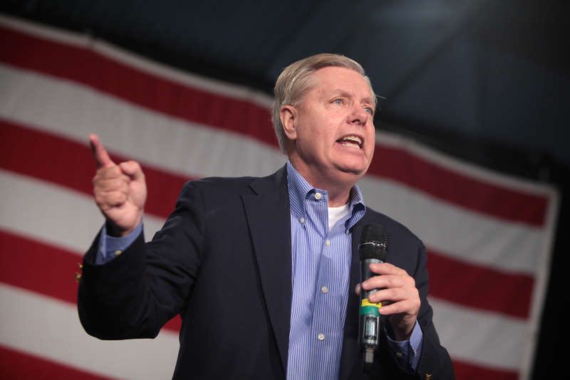 lyndsey graham