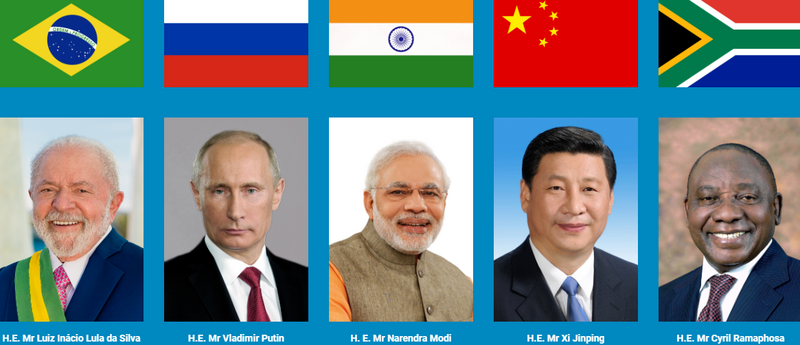 brics leden