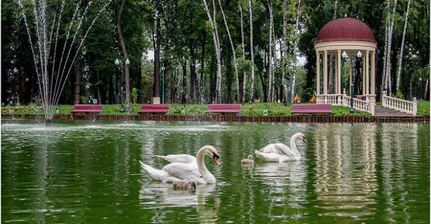 oekraine corruptie gorki park charkiv