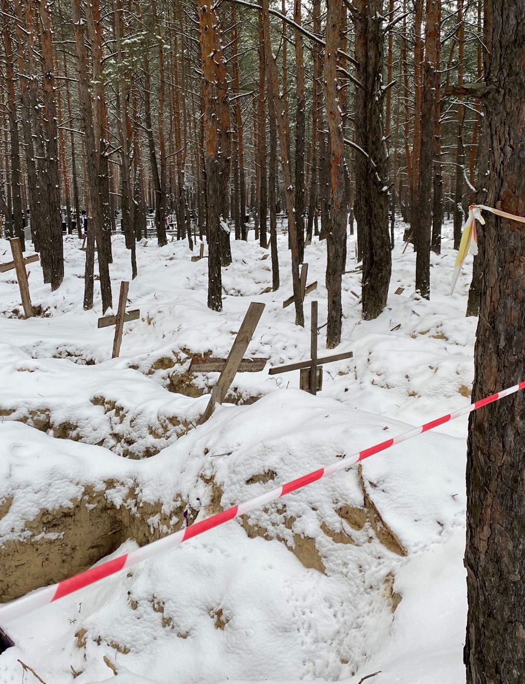 Serry Izjoem massagraf1