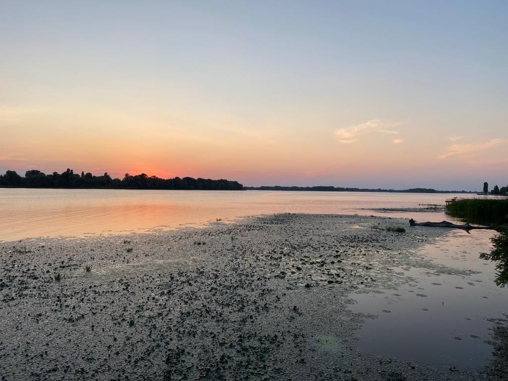 SerryNeergeschotenMig