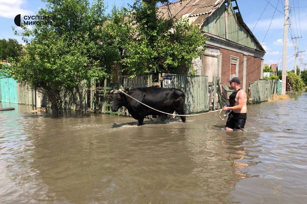 suspilne mykolaiv