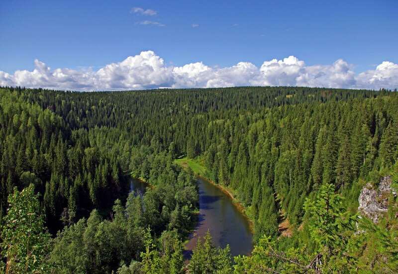 taiga rusland